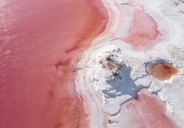 Salt pans aerial view pink white geometric grid at golden hour